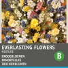 Best Blumensamen-Mischung Trockenblumen Saatgut|Blühende Pflanzen