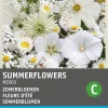 Blumensamen-Mischung Sommerblumen weiß Blühende Pflanzen|Saatgut
