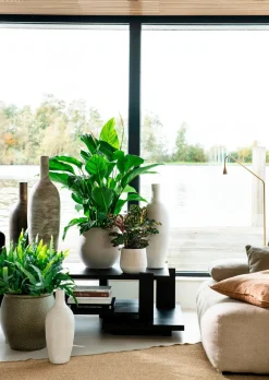 Best Blumentopf Firenze grün D 48 H 48 cm Blumentöpfe & Pflanzgefäße|Blumentöpfe