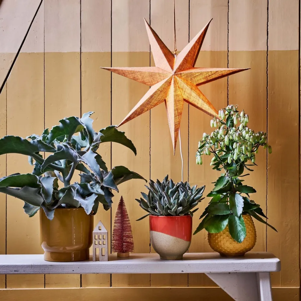 Hot Blumentopf Jade rot D 16,5 H 16,5 cm Blumentöpfe & Pflanzgefäße|Blumentöpfe