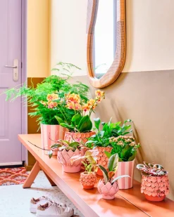 New Blumentopf Julian rosa D 8 H 7 cm Blumentöpfe & Pflanzgefäße|Blumentöpfe