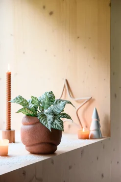 Blumentopf Lilo terracotta D 17,5 H 16 cm Blumentöpfe|Blumentöpfe & Pflanzgefäße