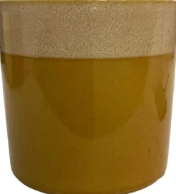 Online Blumentopf Max orange D 13 H 13 cm Blumentöpfe|Blumentöpfe & Pflanzgefäße