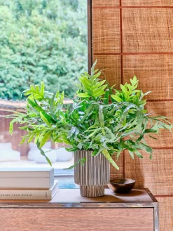 Best Blumentopf Milan schwarz D 17 H 22 cm Blumentöpfe & Pflanzgefäße|Blumentöpfe