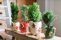 Sale Blumentopf mit Füßen Jiya Zuckerstange grün D 16 H 15 cm Blumentöpfe & Pflanzgefäße|Blumentöpfe