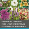 Best Blumenzwiebel-Mischung bienenfreundliche Blumen 36 St. Frühlings-Blüher|Blumenzwiebeln