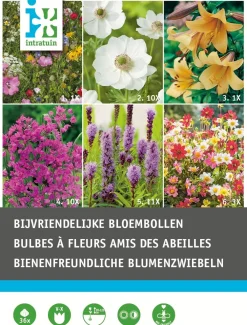 Best Blumenzwiebel-Mischung bienenfreundliche Blumen 36 St. Frühlings-Blüher|Blumenzwiebeln