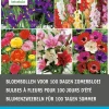 Best Blumenzwiebel-Mischung für 100 Tage Sommerblüten 60 St. Frühlings-Blüher|Blumenzwiebeln