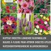 New Blumenzwiebel-Mischung insektenfreundliche Blumen 40 St. Frühlings-Blüher|Blumenzwiebeln