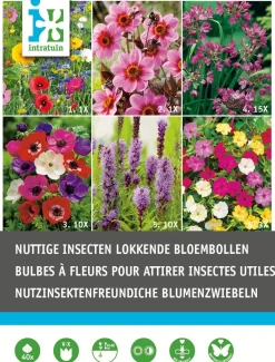 New Blumenzwiebel-Mischung insektenfreundliche Blumen 40 St. Frühlings-Blüher|Blumenzwiebeln