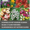 Sale Blumenzwiebel-Mischung mit duftenden Blumen 58 St. Frühlings-Blüher|Blumenzwiebeln