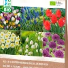 Online Blumenzwiebeln für Bienen und Schmetterlinge (BIO) gemischt 33 St. Frühlings-Blüher|Blumenzwiebeln