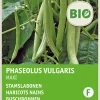 Best Buschbohne (Phaseolus vulgaris 'Maxi') (BIO) Samen Gemüsesamen|Saatgut