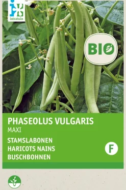 Best Buschbohne (Phaseolus vulgaris 'Maxi') (BIO) Samen Gemüsesamen|Saatgut