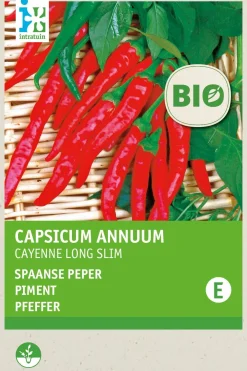 Sale Chili (Capsicum annuum 'De Cayenne') (BIO) Samen Gemüsesamen|Saatgut
