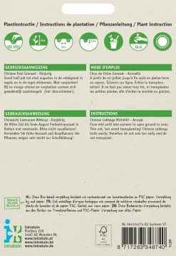 Hot Chinakohl (Brassica pekinensis 'Cantonner Witkrop') Samen Gemüsesamen|Saatgut