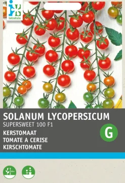Best Cocktailtomate (Solanum lycopersicum 'Supersweet 100 F1') Samen Gemüsesamen|Saatgut