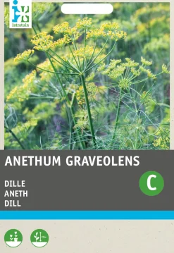 Discount Dill (Anethum graveolens) Samen Kräutersamen|Saatgut