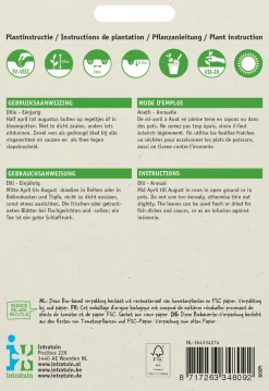 Discount Dill (Anethum graveolens) Samen Kräutersamen|Saatgut