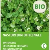 Discount Echte Brunnenkresse (Nasturtium officinale) (BIO) Kressesamen Kräutersamen|Saatgut