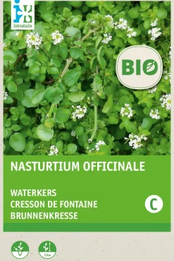 Discount Echte Brunnenkresse (Nasturtium officinale) (BIO) Kressesamen Kräutersamen|Saatgut
