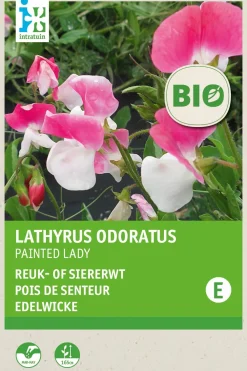 Sale Edelwicke (Lathyrus odoratus 'Painted Lady') (BIO) Blumensamen Saatgut