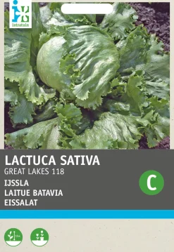 Outlet Eisbergsalat (Lactuca sativa 'Great-Lakes 118') Samen Gemüsesamen|Saatgut
