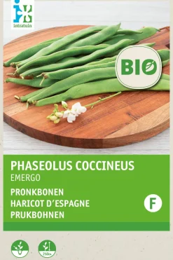 Outlet Feuerbohne (Phaseolus coccineus 'Emergo') (BIO) Samen Gemüsesamen|Saatgut