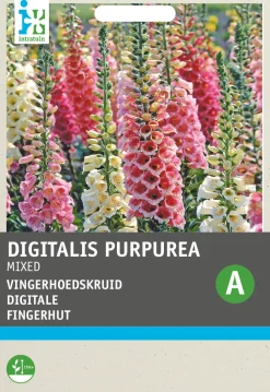 Clearance Fingerhut (Digitalis pupurea 'Gloxiniiflora') Blumensamen Saatgut|Blühende Pflanzen