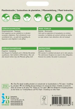 Clearance Fingerhut (Digitalis pupurea 'Gloxiniiflora') Blumensamen Saatgut|Blühende Pflanzen