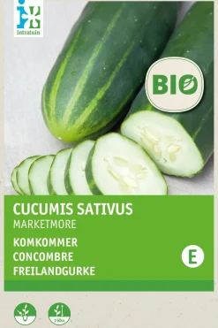 Sale Freilandgurke (Cucumis sativus 'Marketmore') (BIO) Samen Gemüsesamen|Saatgut