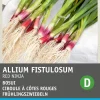 Sale Frühlingszwiebeln rot (Allium fistulosum 'Red Ninja') Samen Gemüsesamen|Saatgut