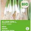 Hot Frühlingszwiebel (Allium cepa 'White Lisbon') (BIO) Samen Gemüsesamen|Saatgut