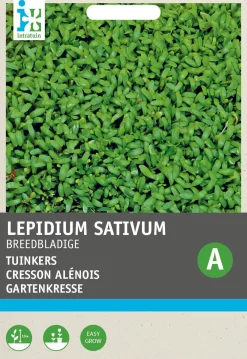 New Gartenkresse groß- / breitblättrig (Lepidium sativum) Kressesamen Gemüsesamen|Saatgut