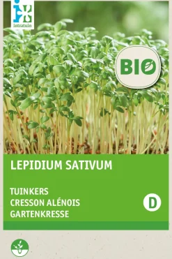 Gartenkresse (Lepidium sativum) (BIO) Kressesamen Gemüsesamen|Saatgut