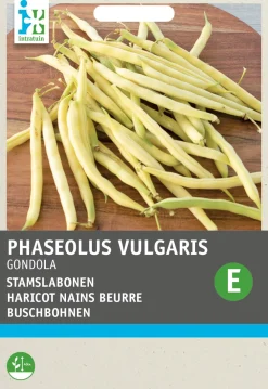 Hot Gemüsesamen Buschbohnen (Phaseolus vulgaris 'Gondola') Gemüsesamen|Saatgut