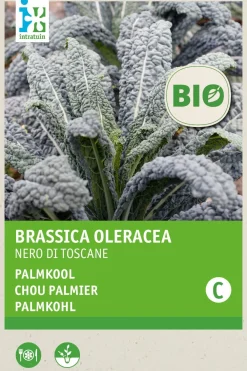 Best Gemüsesamen Palmkohl (Brassica oleracea 'Nero di Toscane') (BIO) Samen Gemüsesamen|Saatgut