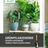 Clearance Grünpflanzenerde 15 l Pflanzerde & Substrat|Erde
