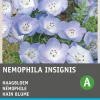 Outlet Hainblume himmelblau (Nemophila insignis) Blumensamen Saatgut|Blühende Pflanzen