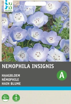 Outlet Hainblume himmelblau (Nemophila insignis) Blumensamen Saatgut|Blühende Pflanzen