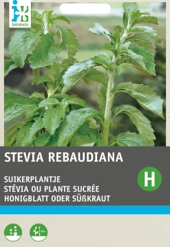 Honigblatt / Süßkraut (Stevia reboudiana) Samen Kräutersamen|Saatgut