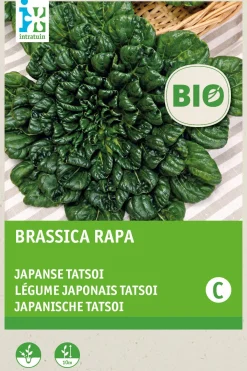 New Japanische Tatsoi (Brassica narinosa) (BIO) Samen Gemüsesamen|Saatgut