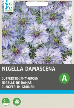 Best Jungfer im Grünen (Nigella damascena 'Miss Jekyll') Blumensamen Saatgut|Blühende Pflanzen