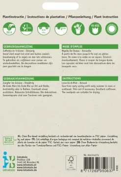 Best Jungfer im Grünen (Nigella damascena 'Miss Jekyll') Blumensamen Saatgut|Blühende Pflanzen