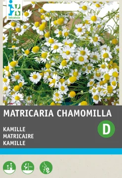 Clearance Kamille (Matricaria chamomilla) Samen Kräutersamen|Saatgut