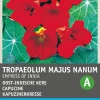 Best Kapuzinerkresse rot (Tropaeolum majus nanum 'Impress of India') Blumensamen Saatgut|Blühende Pflanzen