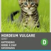 Best Katzengras Samen (Hordeum vulgare) Saatgut