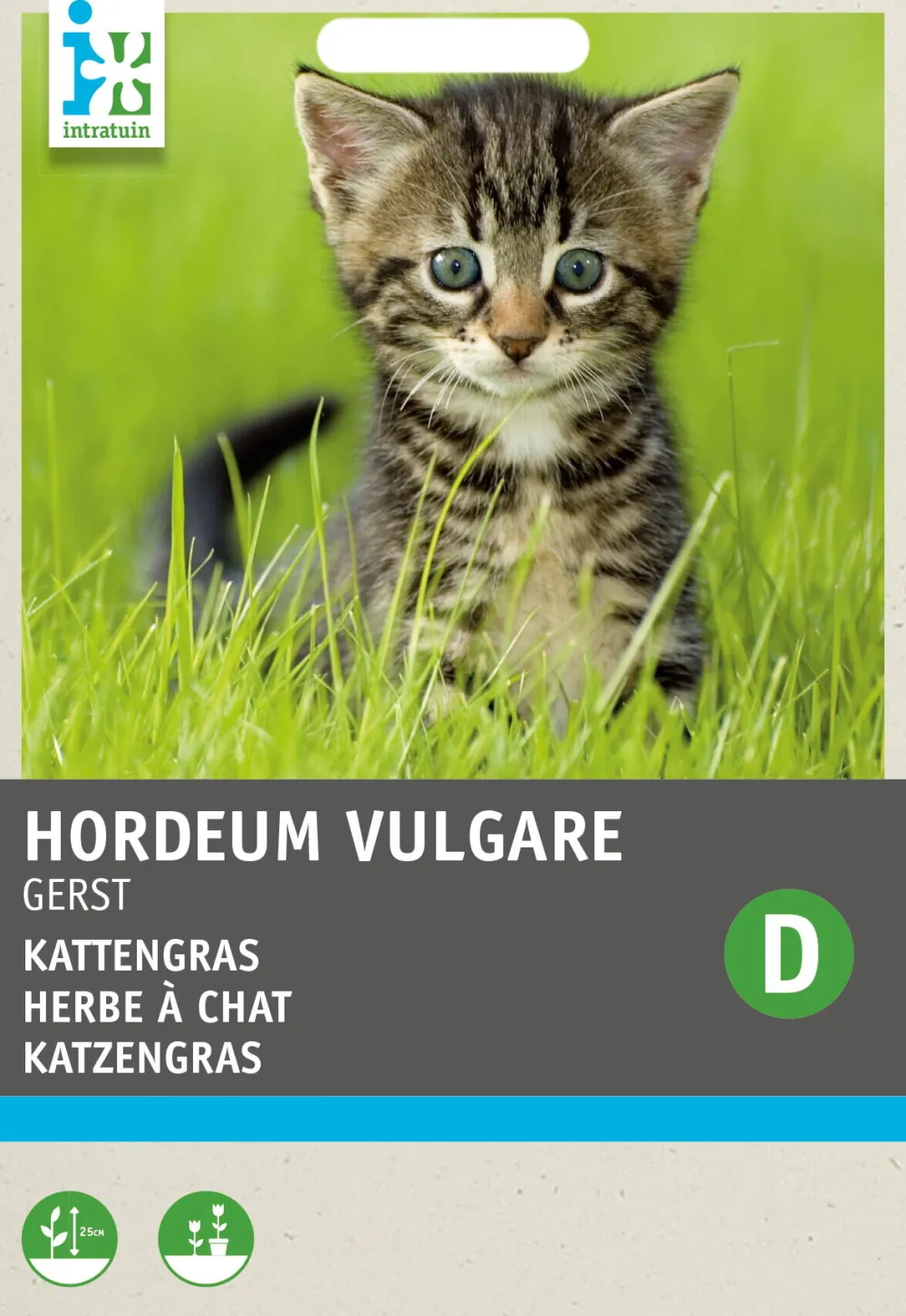 Best Katzengras Samen (Hordeum vulgare) Saatgut