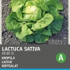 Best Kopfsalat (Lactuca sativa 'Hilde') Samen Gemüsesamen|Saatgut