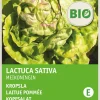 Best Kopfsalat (Lactuca savita 'Maikönig') (BIO) Samen Gemüsesamen|Saatgut